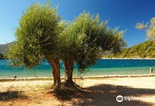 Dexia Beach景点图片