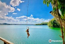 Jorge's Rope Swing景点图片