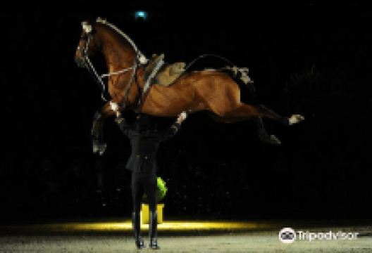 索米尔国家马术学校景点图片