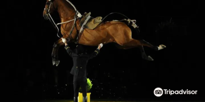 索米爾國家馬術學校