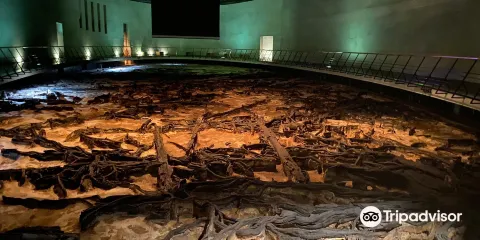 仙台市富澤遺迹保存館（地底森林博物館）