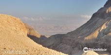 Nachal David Stream-Dead Sea Region