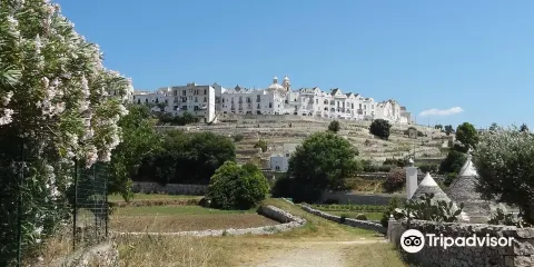 Valle d’itria e Dintorni