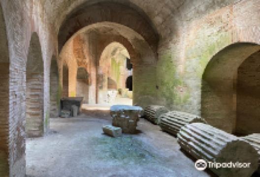 Flavian Amphitheater景点图片