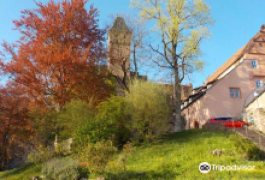 Schloss Hirschhorn景点图片