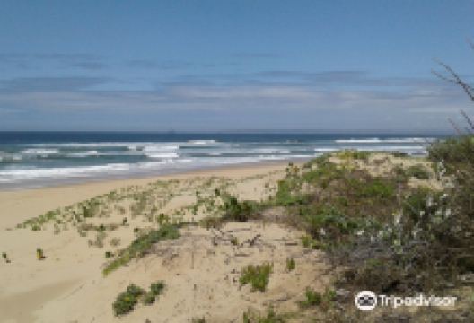 Pienaar Strand景点图片