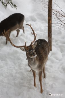 Hutsul Land Bukovel-波利亚尼齐亚