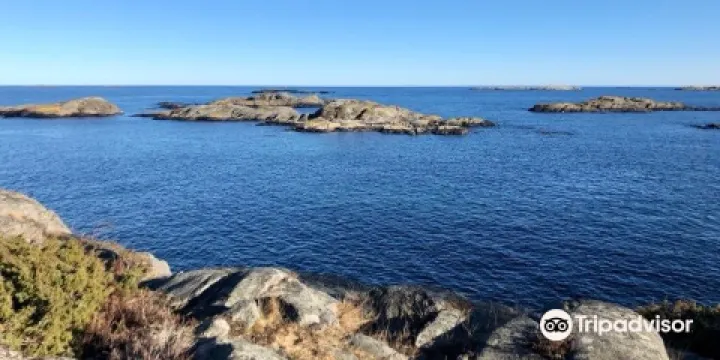 Som Forest Conservation Area