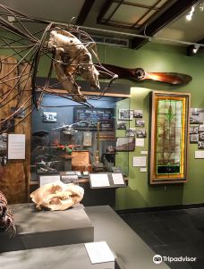 Tongass Historical Museum-凯奇坎