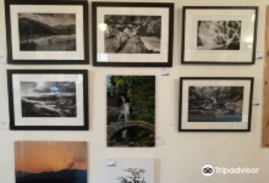 The Shed Gallery景点图片
