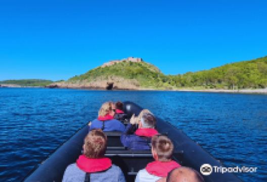 Diveline Bornholm购物图片