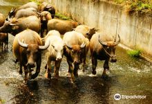 关山环镇自行车道景点图片