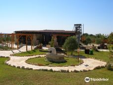Oleastro olive park and museum-阿诺伊拉