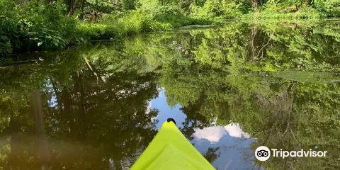 Buckhorn Island State Park