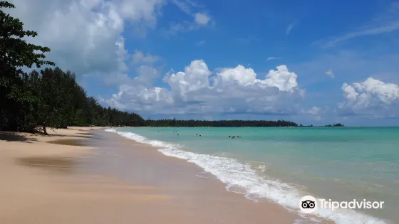 Coconut Beach