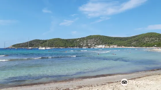 Playa de Ses Salines