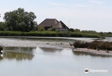 Laguna di Marano景点图片