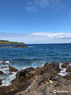 Praia do Almoxarife-康希赛