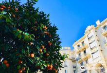 L'Orangerie景点图片