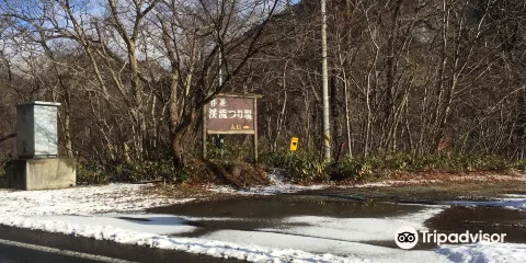 Sakunami Mountain Stream Fishing Field