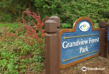 Grandview Forest Park景点图片