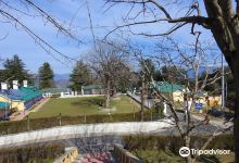 Chail Cricket Ground景点图片