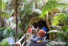 天宝林国家公园萤火虫洞景点图片