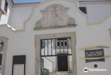 Carlos Reis Municipal Museum景点图片