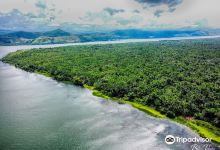 Sentani Lake景点图片