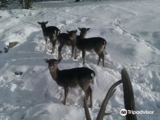 Zoo Kosice-科希策1区