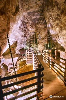 Terra Vinea-波尔泰代科尔比埃