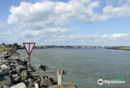 Castlecliff Beach景点图片