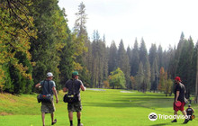 Twain Harte Golf Club餐厅图片