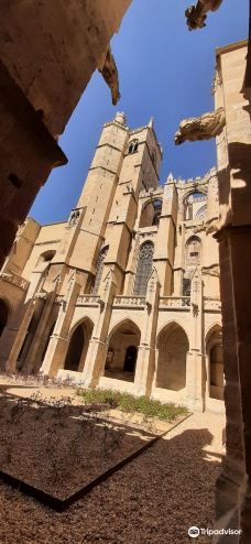 Narbonne Cathedral-纳巴达