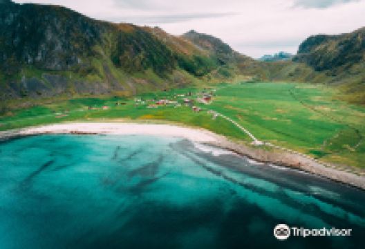 Lofoten Surfsenter购物图片