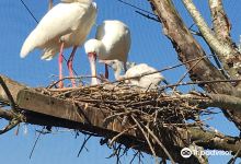 Banham Zoo景点图片