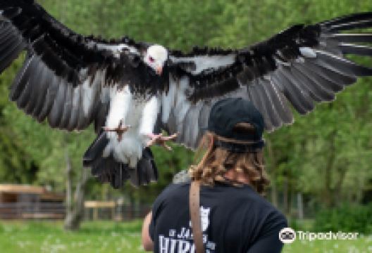 Le Jardin des Hiboux景点图片