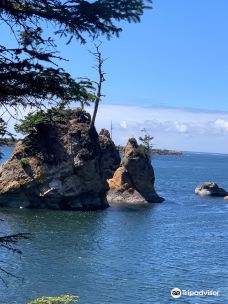 Oregon Coast Scenic Railroad-加里波第