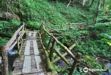 Grotta del Romito景点图片