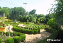 Paul J Ciener Botanical Garden景点图片