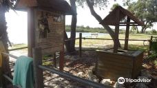 Anclote River Park-霍勒德