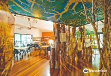 Thursday Plantation Visitors Centre景点图片