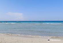 Beach Torre San Giovanni景点图片