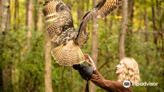 Carolina Raptor Center