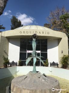 Orquidario de Morelia-莫雷利亚