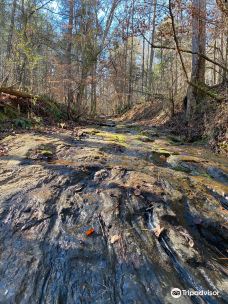 Hard Labor Creek State Park-摩根县