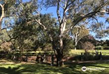 Cricket Captains Walk景点图片