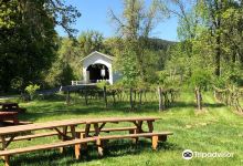 Harris Bridge Vineyard LLC景点图片