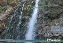 Cascada Urlatoarele景点图片