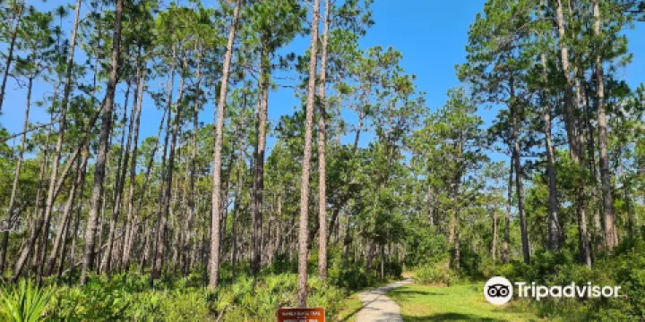 Tarkiln Bayou Preserve State Park